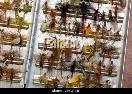 Tackle Box gefüllt mit Forellenfischen Fliegen, von James D Coppinger/Dembinsky Photo Assoc Stockfoto