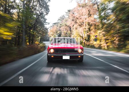 Rote altmodische Vintage-Limousine im Wald, über Herbstbäume Stockfoto