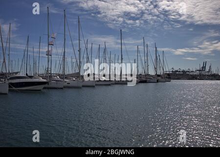 November 2019. Valencia, Spanien. Bild von einigen Vergnügungsbooten im Hafen von Valencia Stockfoto