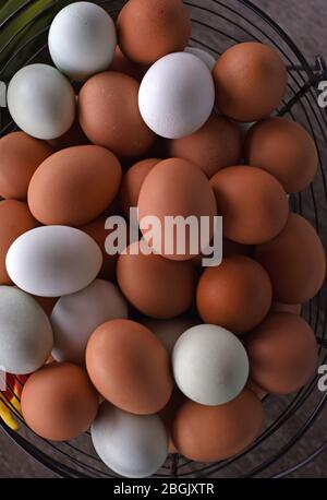 Ein Blick von oben auf einen Drahtkorb mit braunen und weißen Eiern. Stockfoto