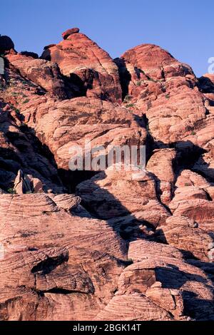 Blick Auf Die Calico Hills, Red Rock Canyon National Conservation Area, Nevada Stockfoto