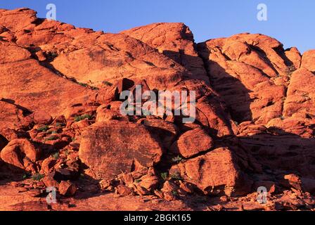 Blick Auf Die Calico Hills, Red Rock Canyon National Conservation Area, Nevada Stockfoto