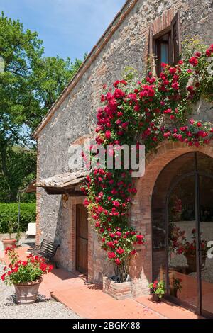 Moderner Eingang in altes Landhaus, San Gimignano, Toskana, Italien, Europa Stockfoto