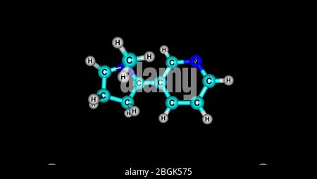 Nikotin ist ein potentes parasympathomimetisches Alkaloid, das in der Familie der Nachtschattengewächse von Pflanzen gefunden wird und ein Stimulans ist. 3d-Darstellung. Stockfoto