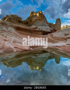 Reflexionen, Sandstein Klippen, White Pocket, Vermillion Cliffs National Monument, Paria Plateau, Arizona Stockfoto