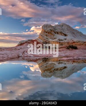 Reflexionen, Sandstein Klippen, White Pocket, Vermillion Cliffs National Monument, Paria Plateau, Arizona Stockfoto