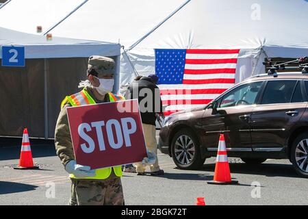 Der private First Class Jose Rivera unterstützt die Verkehrskontrolle am Drive-Thru-Testgelände Ualbany Covid-19 bei der Unterstützung des Inlandsbetriebs der New York National Guard als Reaktion auf den Ausbruch des Coronavirus. (Foto der Air National Guard von Technical Sergeant Jamie Spaulding) Stockfoto