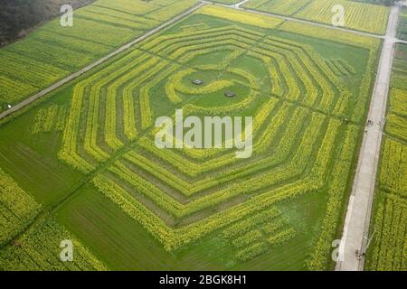 Eine Luftaufnahme eines riesigen Bagua, auch bekannt als Pa Kua, acht Symbole in der taoistischen Kosmologie, aus Blumen auf einem Feld der Blüte ausgestellt Stockfoto