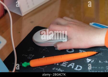 Ein Grundschüler nimmt Unterricht über Internet, studiert von zu Hause, Shanghai, China, 3. März 2020. *** Ortsunterschrift *** fachaoshi Stockfoto