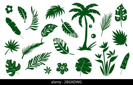 Flaches Symbol für die Palmbaumsammlung. Isoliert auf weiß, Vektor Stock Vektor