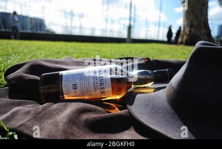Rushcutters Bay Park Sydney, Talisker 10 Jahre Single Malt Scotch Whisky Flasche auf einer Kordeljacke, Fedora Hut, grünes Gras, ein Picknick an einem sonnigen Tag Stockfoto