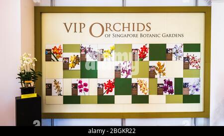 Ausstellung im National Orchid Garden, Singapur, Republik Singapur Stockfoto