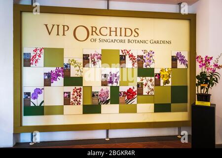 Ausstellung im National Orchid Garden, Singapur, Republik Singapur Stockfoto