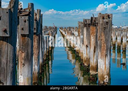 Princes Pier Überreste historischer Piers in Reihen, die in die Bucht von Melbourne Harbour, Australien, ragen und reflektiert werden. Stockfoto