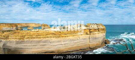 Die Kalksteinstruktur Razorback im Loch ARD-Bereich der Great Ocean Road in Victoria Australien. Stockfoto