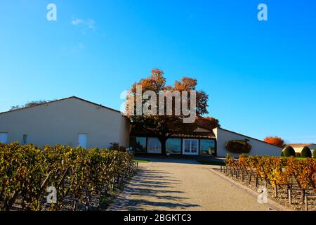 --FILE--die wunderbare Umgebung in der Herbstsaison von Ch teau Mouton Rothschild, einem Weingut, das unter den einzigen fünf Premiers Crus in Fra gelistet ist Stockfoto