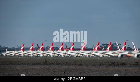 Melbourne Australien während der Covid-19 Pandemie 2020. Geerdete Qantas-Flugzeuge am Avalon Airport Melbourne Australien. Stockfoto