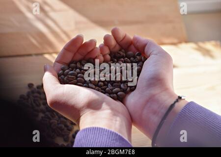 Handvoll frisch gerösteter Kaffee auf warmem, goldenem Hintergrund Stockfoto