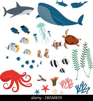Meerestiere, Meeresfauna und Meeresfische. Symbole der Meeresfauna auf weißem Hintergrund. Vektorgrafik Stock Vektor
