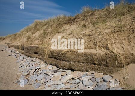 Rand der Merthyr Mawr Sanddüne am Newton Strand, der früher im Frühjahr von Stürmen erodiert wurde Stockfoto