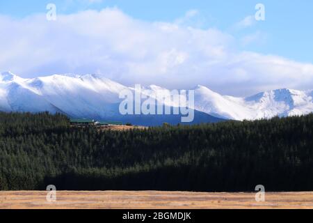 Schöne Natur in der Nähe von Ruataniwha See, Twizel, Neuseeland Stockfoto