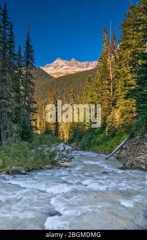 Der Einsiedler & Mount Tupper von der Asulkan Brook in Asulkan Valley, Columbia Mountains, Glacier National Park, British Columbia, Kanada Stockfoto