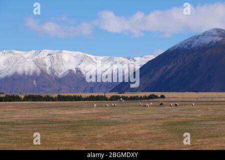 Schöne Natur in der Nähe von Ruataniwha See, Twizel, Neuseeland Stockfoto