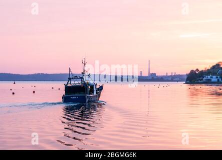 Crosshaven, Cork, Irland. April 2020. Die Fischereiindustrie hat aufgrund der Pandemie Covid-19 mit der Schließung von Restaurants und Exportmärkten einen Nachfragerückgang von 60 % erlebt. Das Bild zeigt das Fischerboot Majestic IV, das vor Sonnenaufgang aufbricht, um die Töpfe für Krabben und Hummer in Crosshaven, Co. Cork, Irland, zu überprüfen. - Credit; David Creedon / Alamy Live News Stockfoto