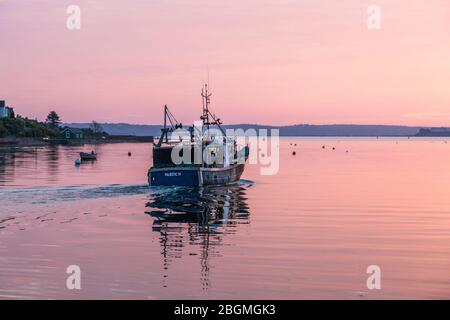 Crosshaven, Cork, Irland. April 2020. Die Fischereiindustrie hat aufgrund der Pandemie Covid-19 mit der Schließung von Restaurants und Exportmärkten einen Nachfragerückgang von 60 % erlebt. Das Bild zeigt das Fischerboot Majestic IV, das vor Sonnenaufgang aufbricht, um die Töpfe für Krabben und Hummer in Crosshaven, Co. Cork, Irland, zu überprüfen. - Credit; David Creedon / Alamy Live News Stockfoto