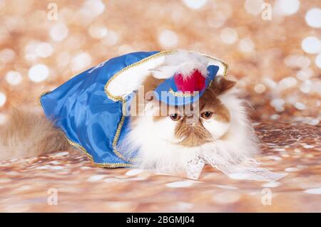 Ein persischer Vampirfürst im blauen Kleid und Hut Stockfoto