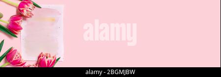 Eine Grußkarte mit Platz für Text und Tulpen als Geschenk für Muttertag, Valentinstag, Hochzeit oder Jubiläum. Stockfoto