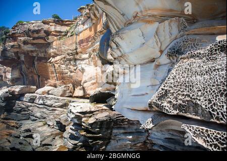 Dramatische Felsformationen durch Wind und Wasser entlang der Bondi, Coogee Cliff Walk in den östlichen Vororten von Sydney, Australien erodiert. Stockfoto