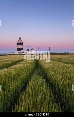 Morgendämmerung am Leuchtturm von Hook Head Wexford Irland Stockfoto