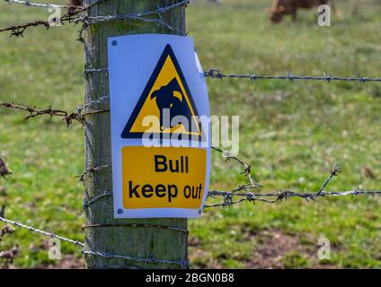 Bempton, Yorkshire, UK, 08/19/2015 - Gelber Stier Keep Out Schild an einem Zaunpfosten mit Stacheldraht befestigt. Stockfoto