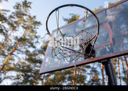 Basketballkorb im Wald. Stockfoto