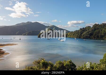 Ngakuta Bay bei Abendsonne, Marlborough Sounds, South Island, Neuseeland Stockfoto