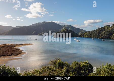 Ngakuta Bay bei Abendsonne, Marlborough Sounds, South Island, Neuseeland Stockfoto