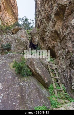 Eine Holzleiter im Crack bei Mahai im Drakensberg Stockfoto