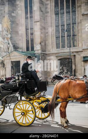 Wien, Österreich - 23. März 2019: Kutscher mit Pferden in der Kutsche nahe Stephansdom Wien, wartet auf Touristen Österreich Stockfoto