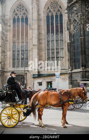 Wien, Österreich - 23. März 2019: Kutscher mit Pferden in der Kutsche nahe Stephansdom Wien, wartet auf Touristen Österreich Stockfoto