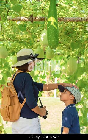 Mutter und Sohn im Winter melone Farm Stockfoto