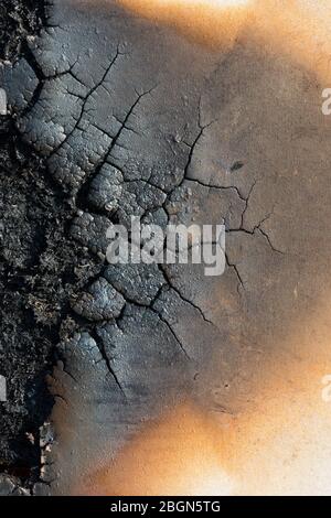 Ähnliche Muster wiederholen sich bei immer kleineren Skalen, wie durch Feuer Fraktale und kohlensäurehaltige verbrannte Holzplatte mit Spektrum Farben produziert gezeigt Stockfoto