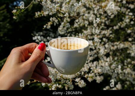 tasse Kaffee gegen blühenden Baum Stockfoto