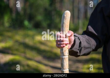 Nahaufnahme eines Mannes, der einen Spazierstock im Wald hält. Handgefertigte hölzerne Wanderstock in der Hand von Wanderer an einem sonnigen Tag Stockfoto