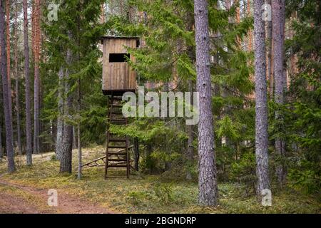 Jägerhütte im Wald. Hunter Tower oder Wachposten in der Wildnis. Erhöhte Holzstruktur Stockfoto