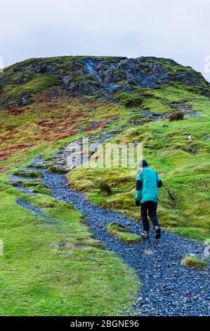 Ein Mann in Grün steigt den Hügel mit seinem Wanderstock in der Hand Catgells Gipfel im Lake District bei Sonnenaufgang Stockfoto