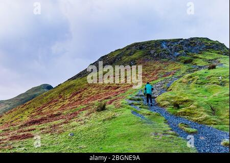 Ein Mann in Grün steigt den Hügel mit seinem Wanderstock in der Hand Catgells Gipfel im Lake District bei Sonnenaufgang Stockfoto