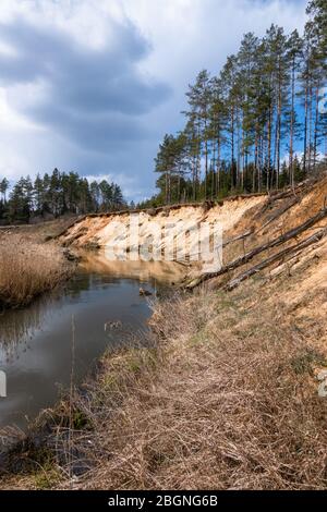 Schmaler Fluss Bach im wilden Wald an einem sonnigen Tag. Fluss und Sand Exposition. Wilde Forellenfischen Expedition im Frühjahr, niemand Stockfoto