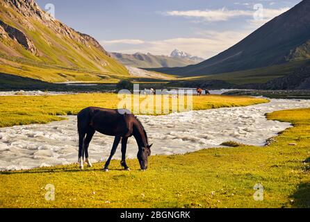 Pferde in der Nähe des Flusses in der Terskey Alatau Gebirge in Kirgisistan und Zentralasien Stockfoto