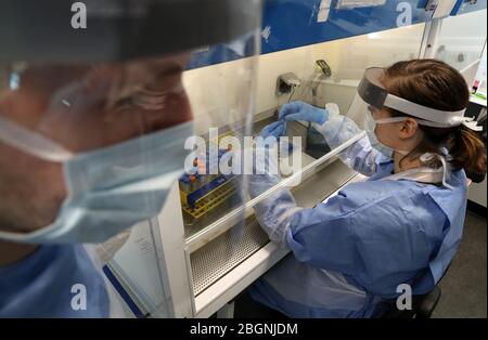 Techniker führen während der Eröffnung des neuen Covid-19-Testlabors am Queen Elizabeth University Hospital in Glasgow einen Probentransfer durch. Stockfoto